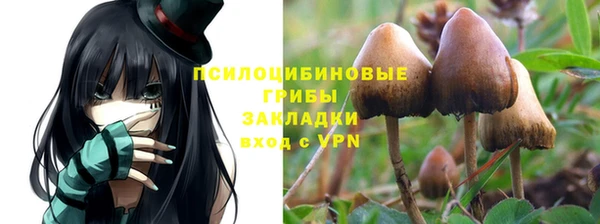сатива Алексеевка