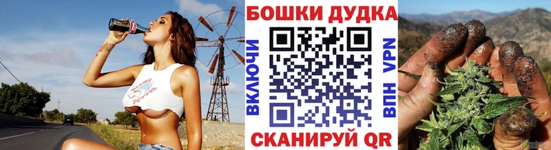 купить закладку блэк спрут онион Каннабис планчик Зея